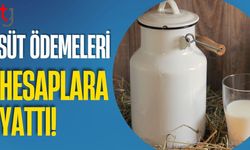 Süt Ödemeleri Hesaplara Yattı!