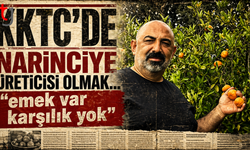 Narinciye de Emek Var Karşılık Yok !