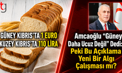 Amcaoğlu “Güney Daha Ucuz Değil” Dedi: Peki Bu Açıklama Yeni Bir Algı Çalışması mı?