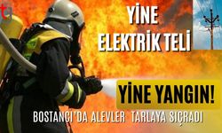 Yine Elektrik Teli, Yine Yangın! Bostancı’da Alevler Arpa Tarlasına Sıçradı