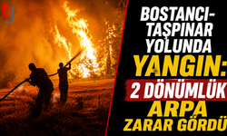 Bostancı-Taşpınar Yolunda Yangın: 2 Dönümlük Arpa Zarar Gördü