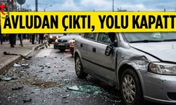 Avludan Çıktı, Ana Yolu Birbirine Katttı: Yaralılar Var!