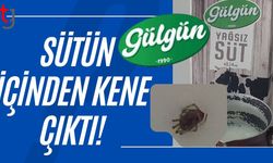 SÜTÜN İÇİNDEN KENE ÇIKTI!
