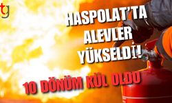 Haspolat’ta alevler yükseldi! 10 dönüm kül oldu