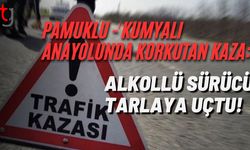 Pamuklu - Kumyalı Anayolunda Korkutan Kaza: Alkollü Sürücü Tarlaya Uçtu!