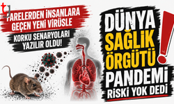 Farelerden bulaşan virüs yeniden gündemde