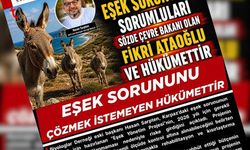 MANŞET