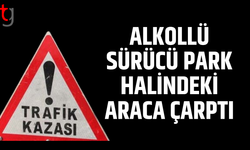 Alkollü sürücü park halindeki araca çarptı