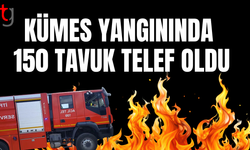 Kümes yangınında 150 tavuk telef oldu