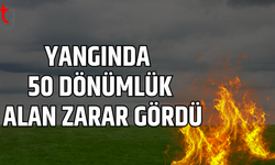 Paşaköy’de çöplük alanda yangın