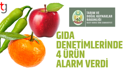 Gıda denetimlerinde 4 ürün alarm verdi