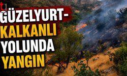 Güzelyurt-Kalkanlı Yolunda Yangın: 40 Dönümlük Alan Zarar Gördü