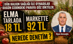 Adı Serbet Piyasa ; Elma Tarlada 18 TL markette 92 TL
