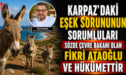 Eşek sorununu çözmek istemeyen hükümettir