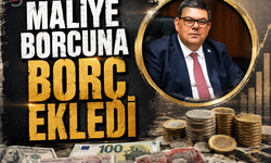 ABD Doları, Euro ve İngiliz Sterlini cinsinden yüklü miktarda borç alındı.