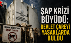 Şap Krizi Büyüdü: Devlet Çareyi Yasaklarda Buldu