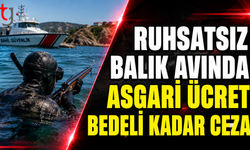 Ruhsatsız Balık Avında Asgari Ücret Bedeli Kadar Ceza