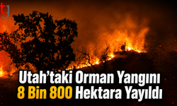 Utah’taki Orman Yangını 8 Bin 800 Hektara Yayıldı: Kent Tahliye Ediliyor