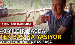 40 Yıldır Dağda Tek Başına Yaşıyor: 2 Bin 200 Rakımda Ayı ve Kurtlarla Baş Başa