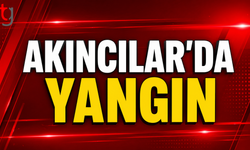 Akıncılar’da Arazi Yangını: 33 Dönüm Ekin Zarar Gördü