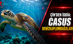 Çin’den Sıra Dışı Casusluk İddiası: “Deniz Kaplumbağaları ve Balıklar Ajan Gibi Kullanılıyor”
