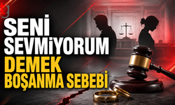 “Seni Sevmiyorum” Sözü Boşanma Nedeni