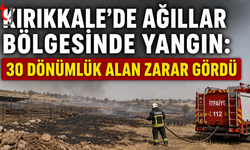 Kırıkkale’de Ağıllar Bölgesinde Yangın: 30 Dönümlük Alan Zarar Gördü