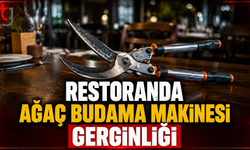 Restoranda Ağaç Budama Makinesi Gerginliği