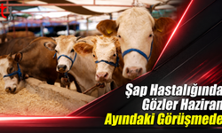 Şap Hastalığında Gözler Haziran Ayındaki Görüşmede