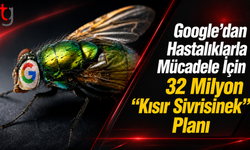 Google’dan Hastalıklarla Mücadele İçin 32 Milyon “Kısır Sivrisinek” Planı