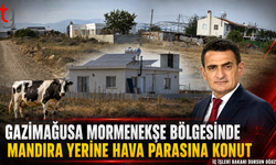 Gazimağusa Bölgesinde Mandıra Arazileri Tartışması: “Hayvancılık İçin Verilen Yerler Konuta Dönüştü”