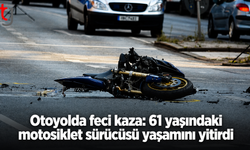 61 yaşındaki motosiklet sürücüsü, başıboş köpeğe çarpmamak isterken yaşamını yitirdi