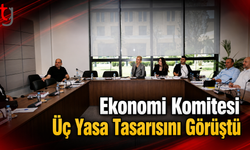 Ekonomi Komitesi Üç Yasa Tasarısını Görüştü