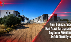 Yeni Boğaziçi’nde Hali Arazi Tartışması: Zeytinler Söküldü, Asfalt Dökülüyor