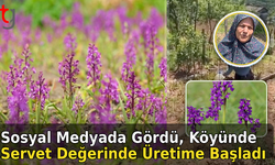 Sosyal Medyada Gördü, Köyünde Servet Değerinde Üretime Başladı