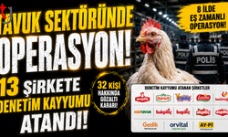 Tavuk Sektöründe Operasyon: 13 Şirkete Denetim Kayyumu Atandı