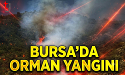 Bursa'da Orman Yangını
