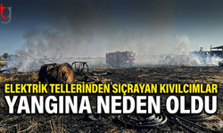 Elektrik Tellerinden Sıçrayan Kıvılcımlar Yangına Neden Oldu