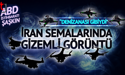 ABD istihbaratı karıştı: "Denizanası gibiydiler"