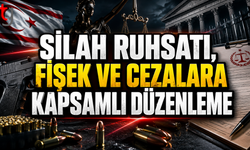 Ruhsat, Fişek ve Cezalara Kapsamlı Düzenleme