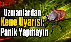 Uzmanlardan Kene Uyarısı: Panik Yapmayın