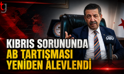 Kıbrıs Sorununda AB Tartışması Yeniden Alevlendi