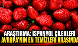 Araştırma: İspanyol Çilekleri Avrupa'nın En Temizleri Arasında