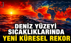 Deniz Yüzeyi Sıcaklıklarında Yeni Küresel Rekor
