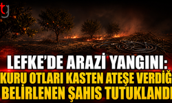 Lefke’de Arazi Yangını: Kuru Otları Kasten Ateşe Verdiği Belirlenen Şahıs Tutuklandı