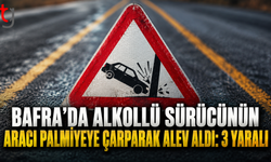 Bafra’da Alkollü Sürücünün Aracı Palmiyeye Çarparak Alev Aldı: 3 Yaralı