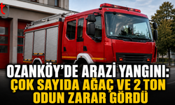 Ozanköy’de Arazi Yangını: Çok Sayıda Ağaç ve 2 Ton Odun Zarar Gördü