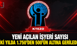 KTEZO: Yeni Açılan İşyeri Sayısı İki Yılda 1.750’den 500’ün Altına Geriledi