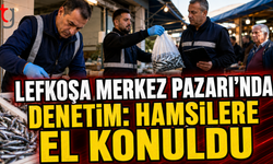 Lefkoşa Merkez Pazarı’nda Denetim: Hamsilere El Konuldu