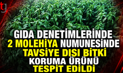 Gıda Denetimlerinde 2 Molehiya Numunesinde Tavsiye Dışı Bitki Koruma Ürünü Tespit Edildi